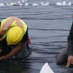 Jasa Penyambungan Geomembrane – Spesifikasi, Ukuran & Harga