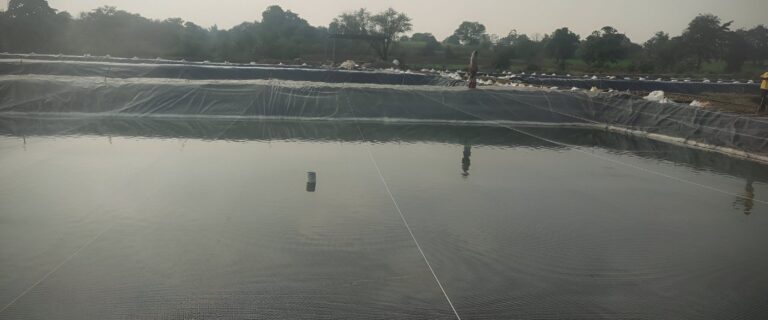 Jual Terpal Tambak Lampung Murah-vaname shrimp ponds