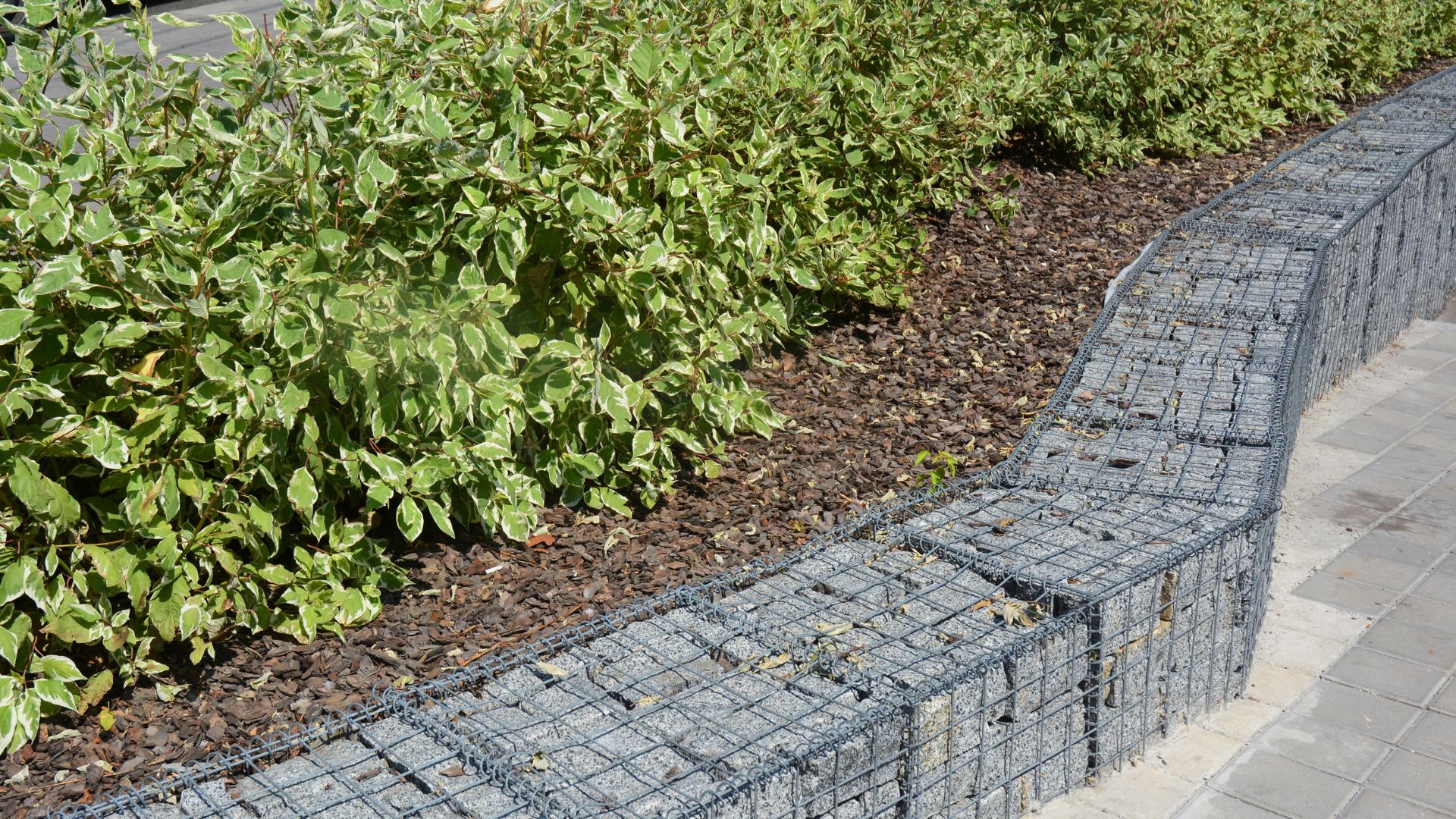 Wiremesh Cilegon, No. 1 di Indonesia