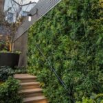 Tanaman Vertical Garden 12 Rekomendasi