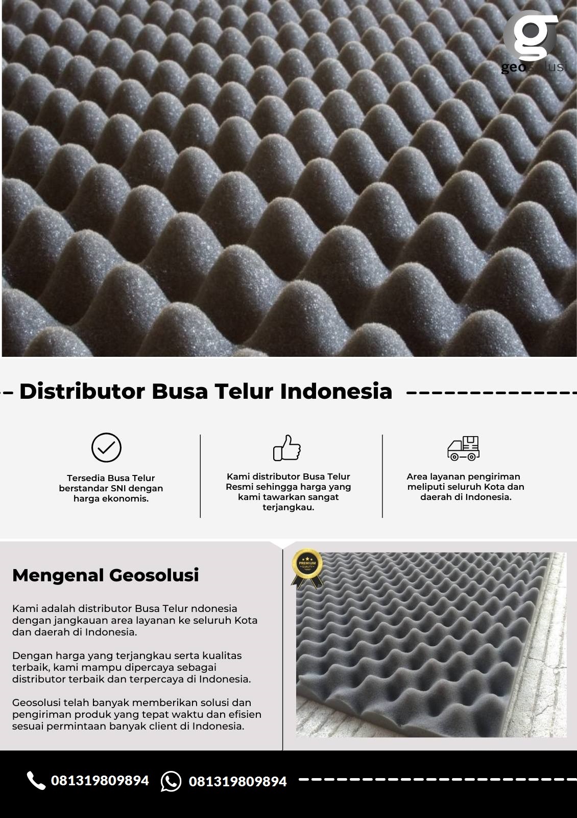 Distributor Busa Telur Indonesia